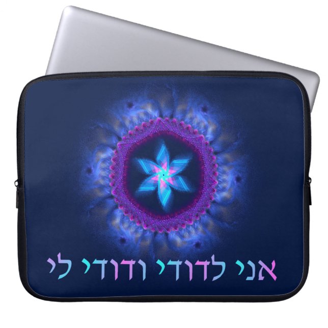 Pink - Blue Magen Laptop Sleeve (Front)