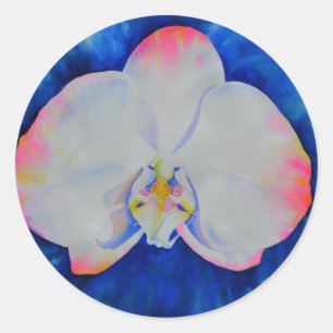 Pink Blush Orchid Classic Round Sticker
