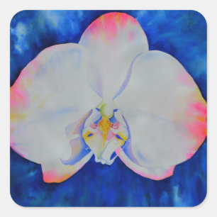 Pink Blush Orchid Square Sticker