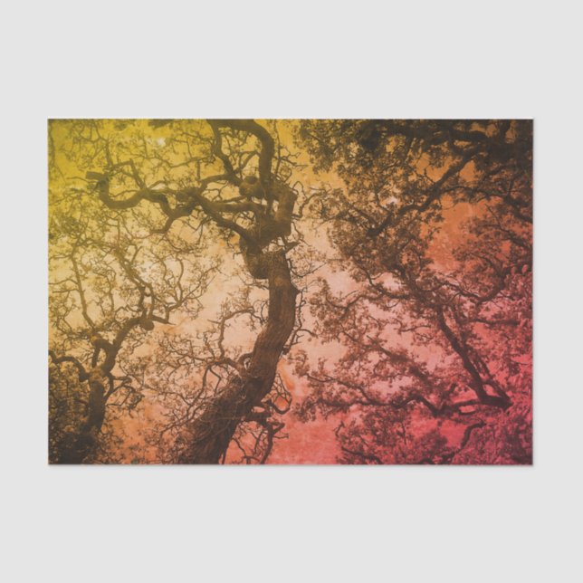 Pink Blush Trees Tissue Paper (Front)