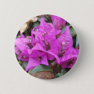 Pink Bougainvillea Flowers Button