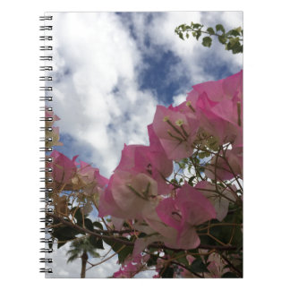 Pink bougainvillea notebook