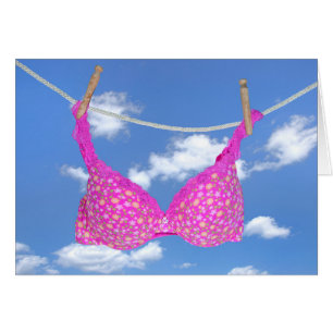 Pink Bra Friendship