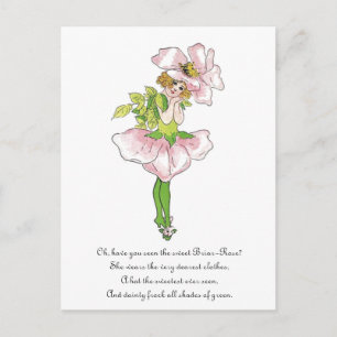 Pink Briar Rose Flower Floral Funny Cute Girl Postcard