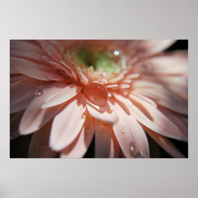 Pink Bubbles Poster (Front)