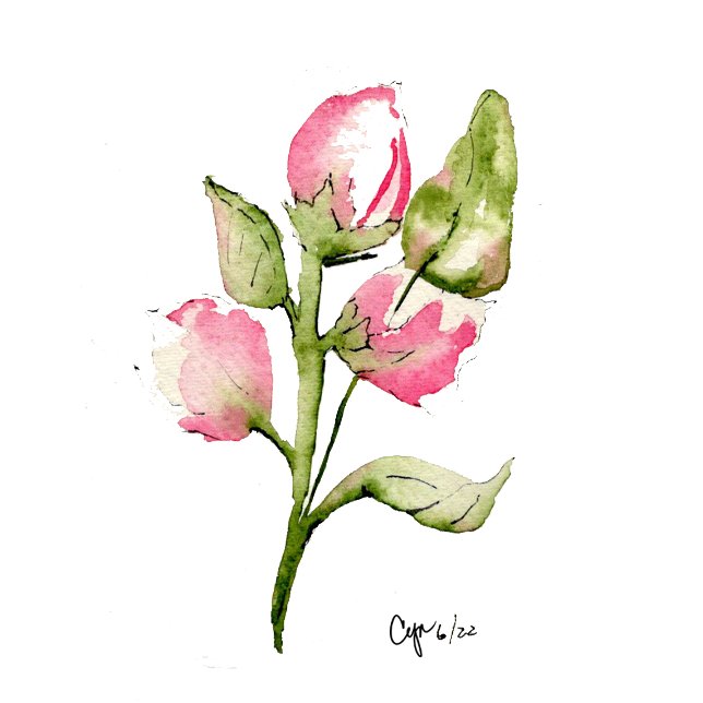 Pink Bud Floral Guest Towel (Creator Uploaded)