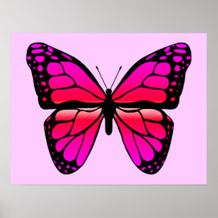 Pink Butterfly Poster