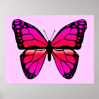 Pink Butterfly Poster