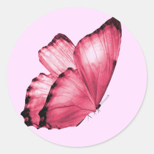Pink Butterfly Round Envelope Seals