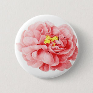 Pink Cabbage Rose Flower Shabby Cottage 2 Inch Round Button