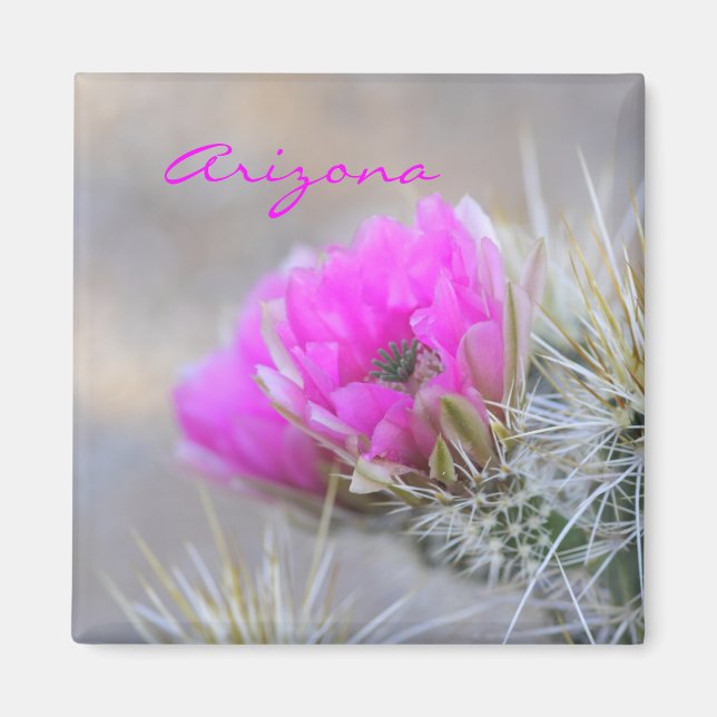 pink cactus bloom,Arizona Magnet (Front)
