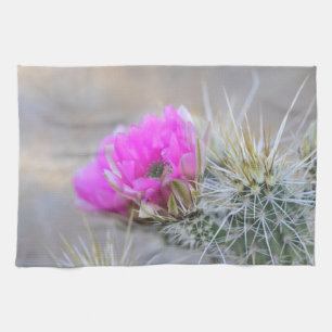 Pink Cactus blooms Kitchen Towel