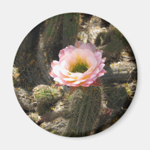 Pink Cactus Flower Magnet