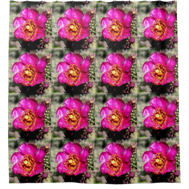 pink cactus flowers (Front)