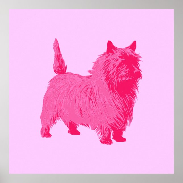 Pink Cairn Terrier Poster (Front)