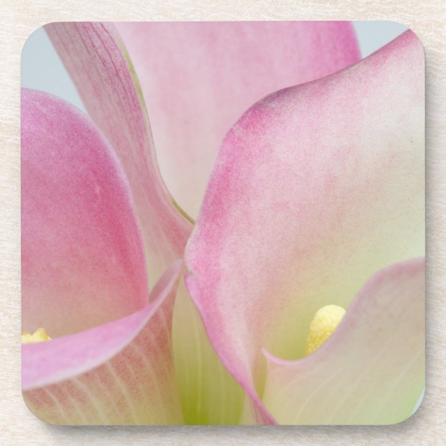 Pink Calla Lilies Coaster (Front)