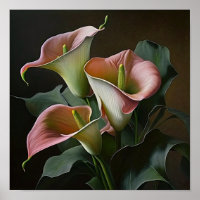 Pink Calla Lilies Lily Flower Art Imprimer Poster