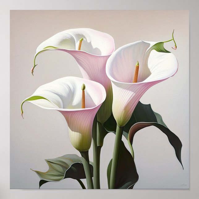 Pink Calla Lilies Lily Flower Art Print Poster (Front)