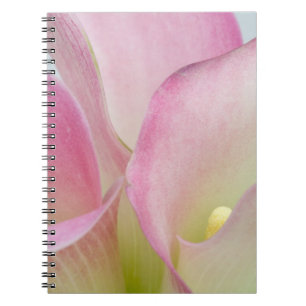 Pink Calla Lilies Notebook