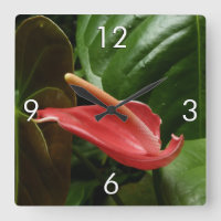Pink Calla Lily Elegant Floral
