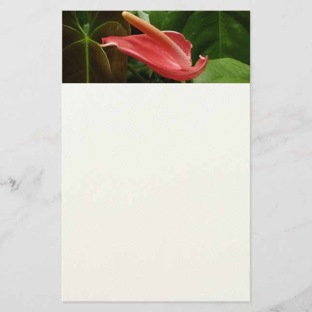 Pink Calla Lily Elegant Floral Stationery (Front)
