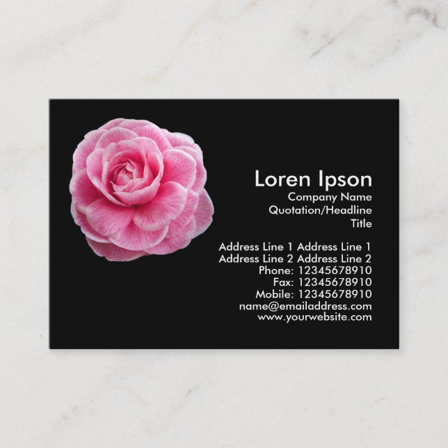 Pink Camelia 2 - Black Business Card (Front)