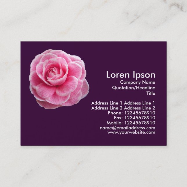 Pink Camelia 2 - Dark Purple Business Card (Front)