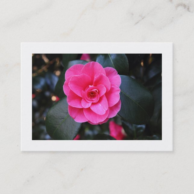 Pink Camellia (Bordered) Business Card (Front)
