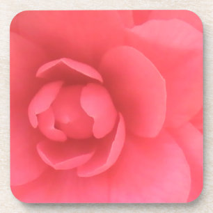 Pink Camellia Coaster