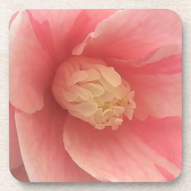 Pink Camellia Coaster (Front)