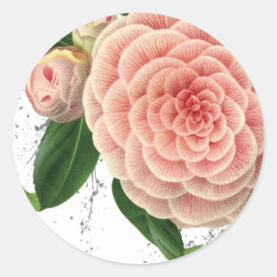 Pink Camellia Envelope Seal Stickers
