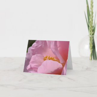 Pink Camellia Folded Thank You Card