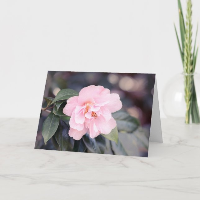 Pink Camellia Japonica Note Card (Front)