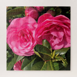 Pink Camellia Jigsaw Puzzle