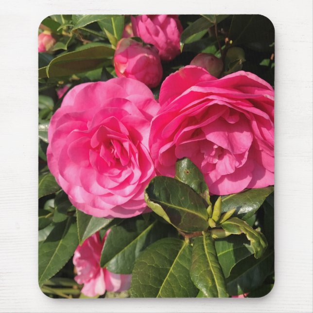 Pink Camellia Mouse Pad (Front)
