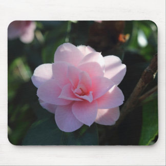 Pink Camellia Mouse Pad