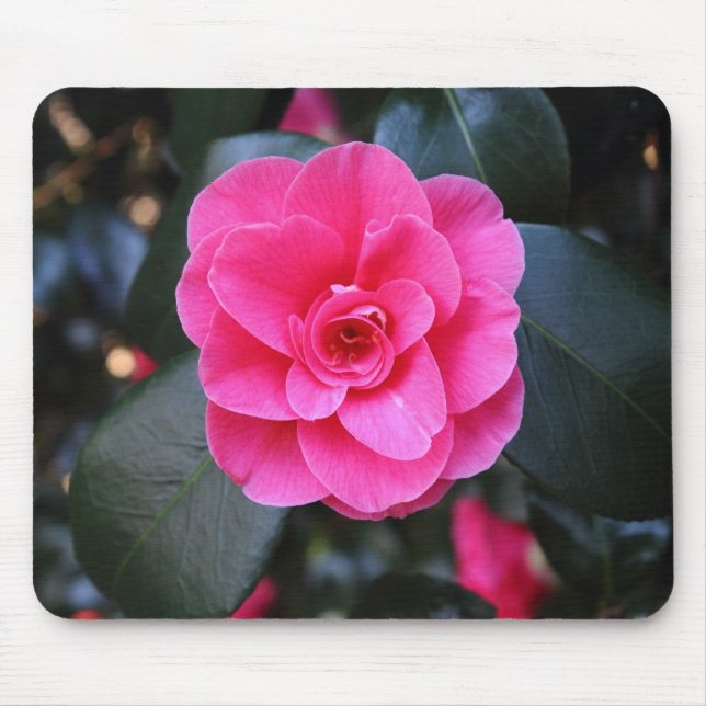 Pink Camellia Mouse Pad (Front)