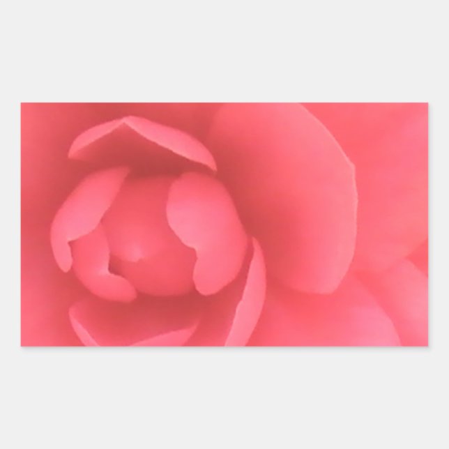 Pink Camellia Sticker (Front)