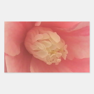 Pink Camellia Sticker