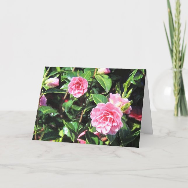 Pink Camellias Greeting Card (Front)