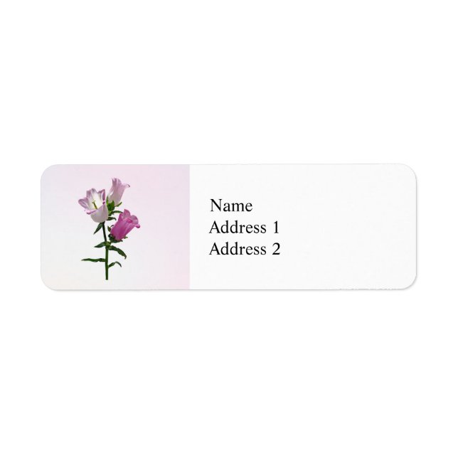 Pink Canterbury Bells (Front)