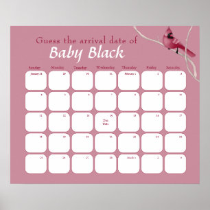 Pink Cardinal Bird Baby Shower Guess The Due Date Poster