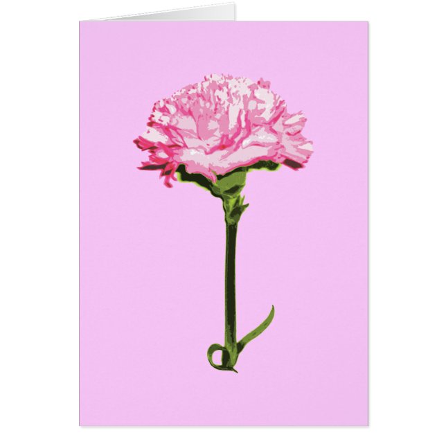Pink Carnation (Front)