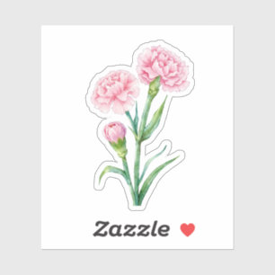 Pink Carnation Botanical Watercolor Custom Name