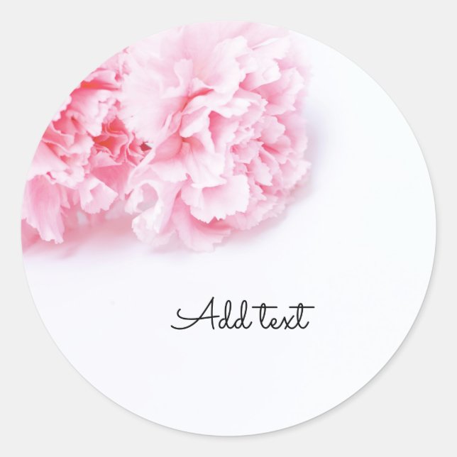 Pink Carnation Flower on white background Classic Round Sticker (Front)
