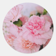 pink carnation flowers vintage style photography