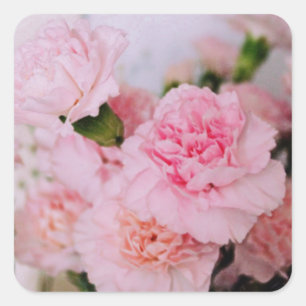 pink carnation flowers vintage style photography square sticker