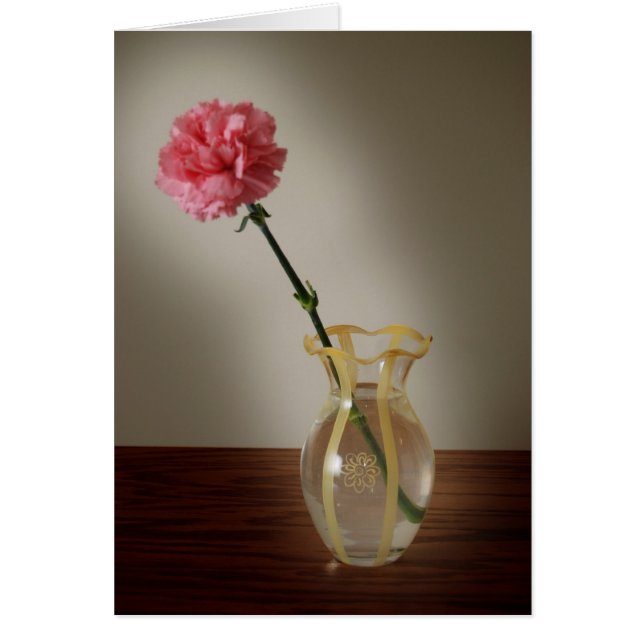 Pink Carnation in Glass Vase (Front)