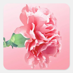 Pink carnation square sticker