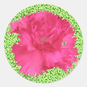 Pink Carnation Sticker